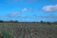 Indigenous rep demands funding in Cordillera climate initiatives
